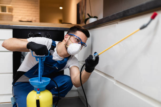 Best Pest Inspection Near Me  in Bainbridge Island, WA