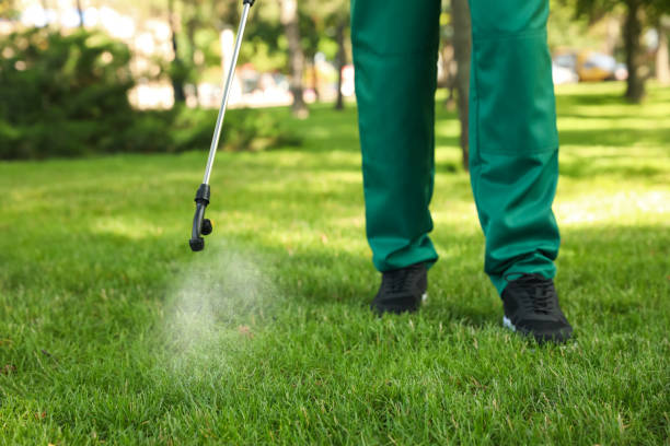 Best Commercial Pest Control Services  in Bainbridge Island, WA