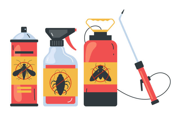 Best Pest Control Near Me  in Bainbridge Island, WA
