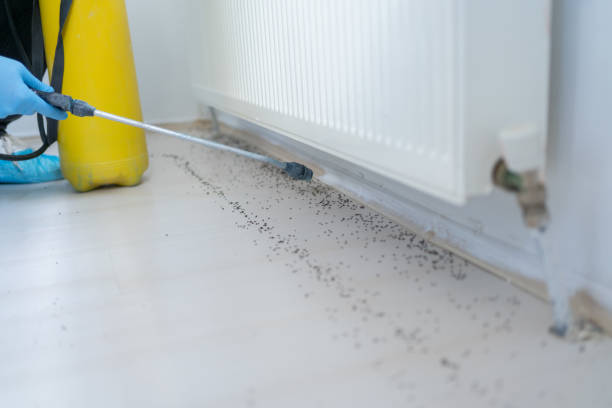 Best Pest Prevention Services  in Bainbridge Island, WA